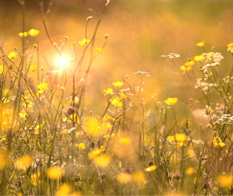 WHAT IS THE FULL MEANING OF SUMMER visual data 6