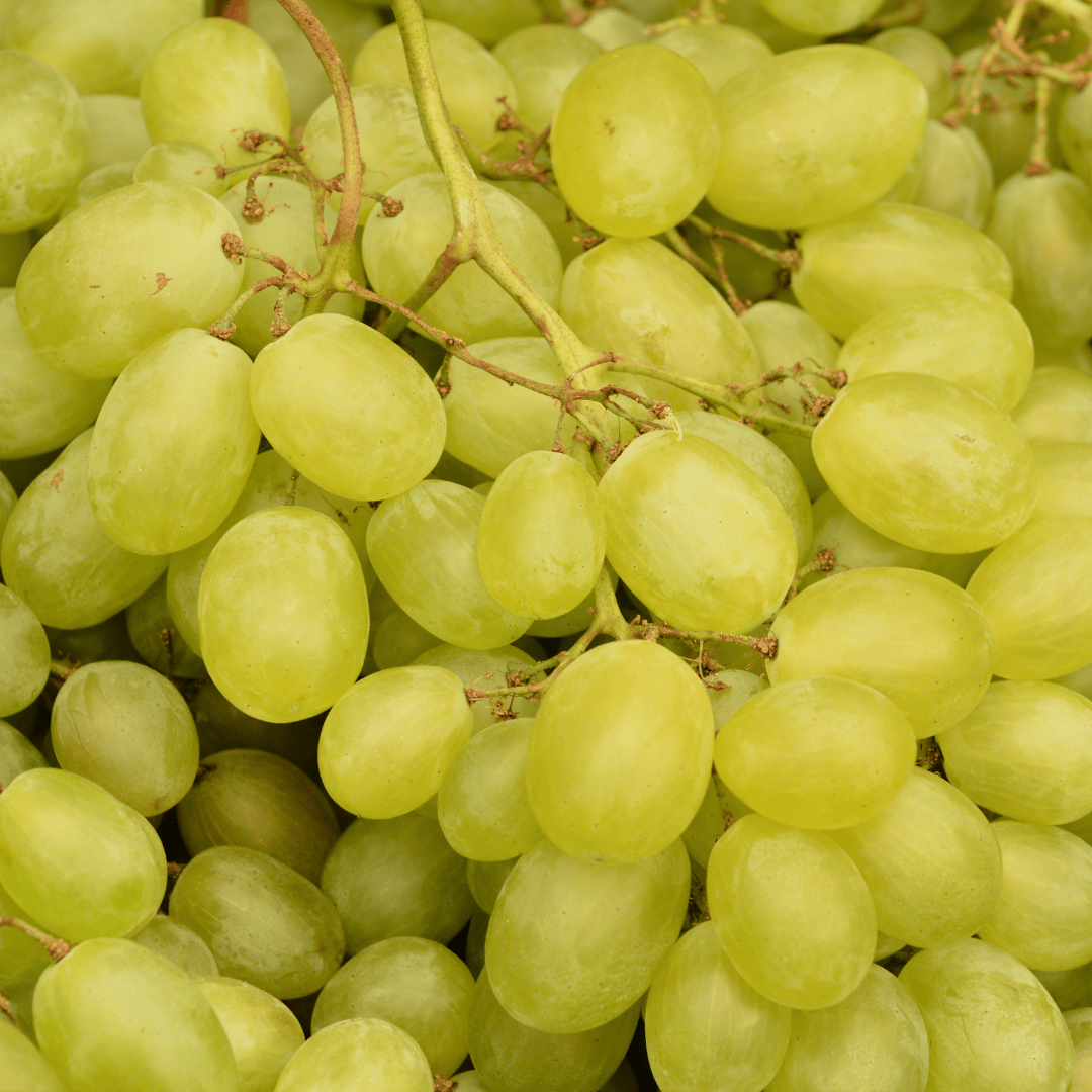 Symbolism of Grapes Meaning & Significance in Different Cultures