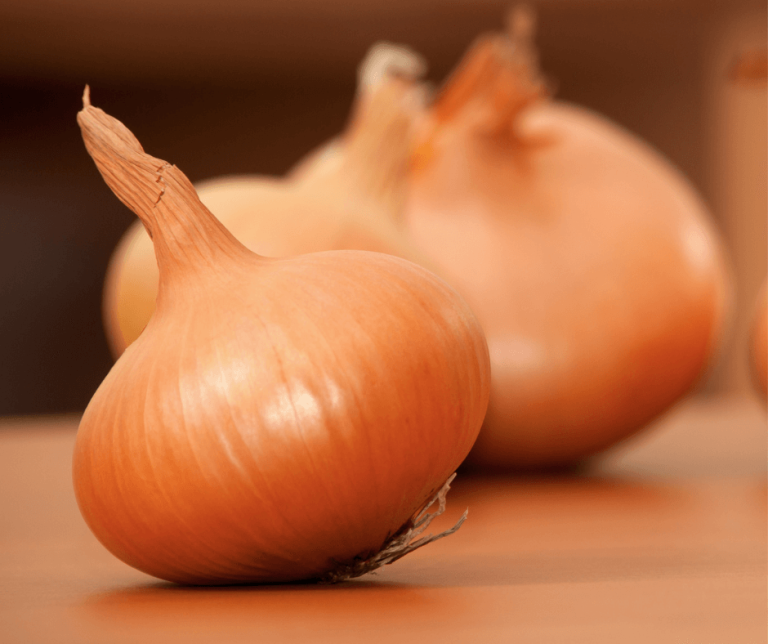 Onion Symbolism Meaning and Significance in Different Cultures